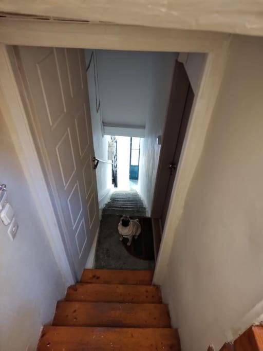 Mary'S Bright Apartment - Corfu Old Town Bagian luar foto